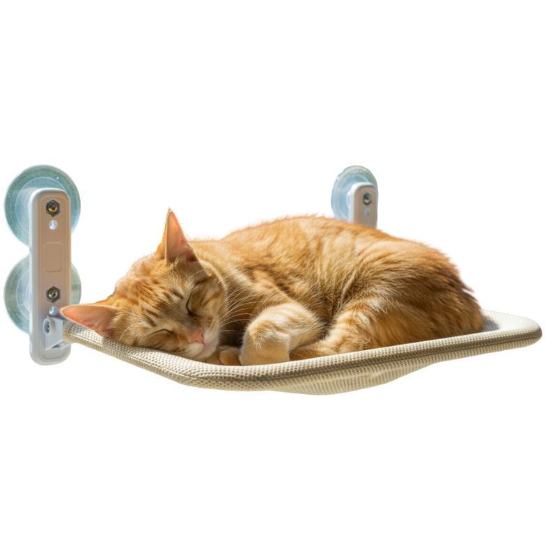 Cat sleeping on a wall-mounted hammock with suction cups