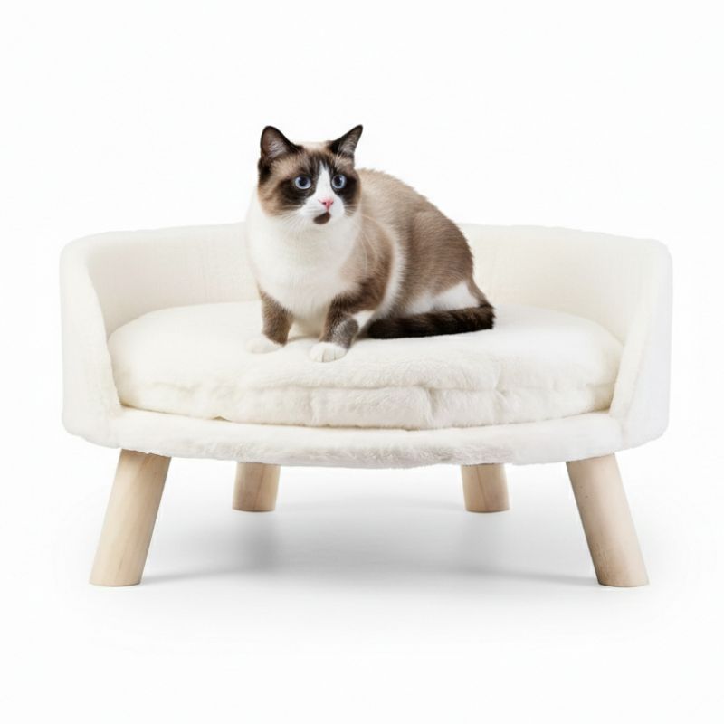 Cat sitting on a white pet bed with wooden legs against a white background