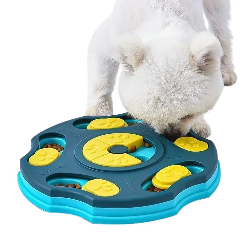Dog interacting with a blue and yellow puzzle toy on a white background