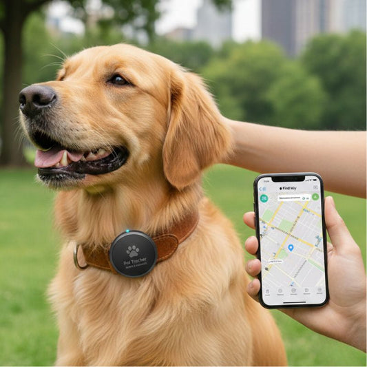Pet tracker: how to keep your pet safe without limiting freedom