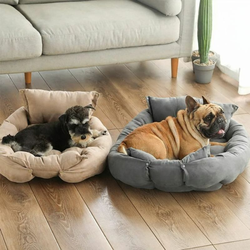 Two dogs in their pet beds on a wooden floor with a couch and plant in the background.