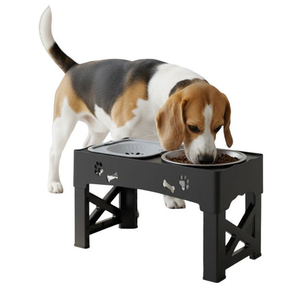 Dog eating from a raised pet feeder on a white background