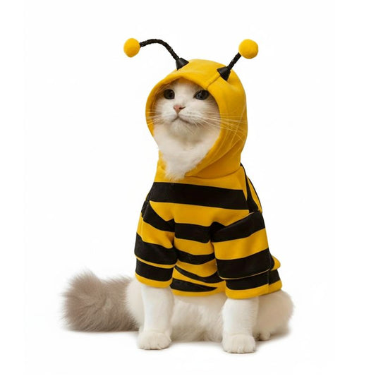 Cat wearing a bee costume with yellow and black stripes on a white background