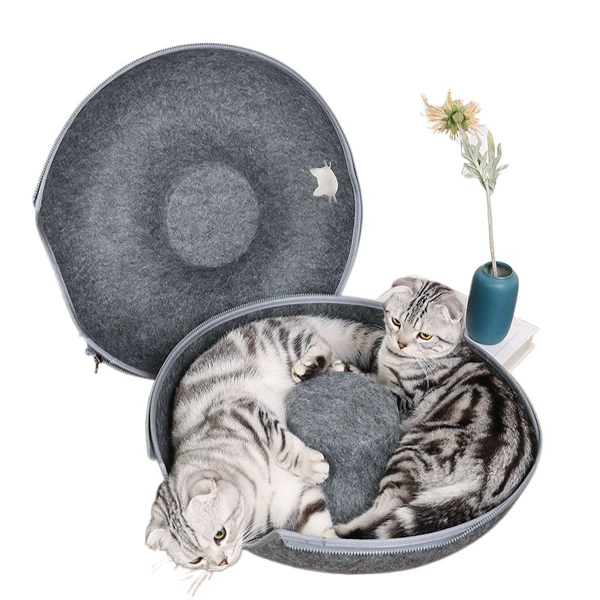 Two cats inside a gray pet bed with a small plant on a white background
