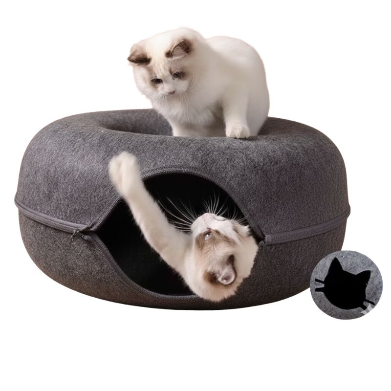 Two cats in a gray pet bed with a white background