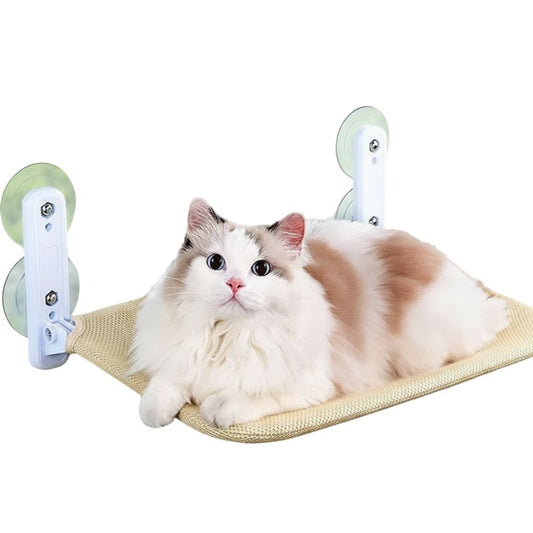 Cat lying on a beige hammock with green suction cups against a white background