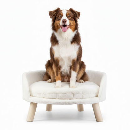 Dog sitting on a small, elevated pet bed with a white background
