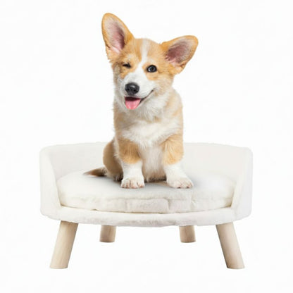 Corgi dog sitting on a small white chair with wooden legs against a white background