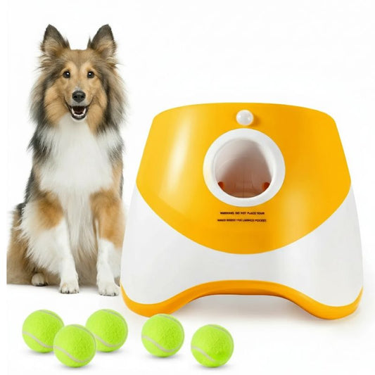 Dog next to a yellow and white dog toy with tennis balls on a white background