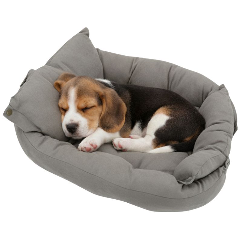 Puppy sleeping in a gray pet bed on a white background