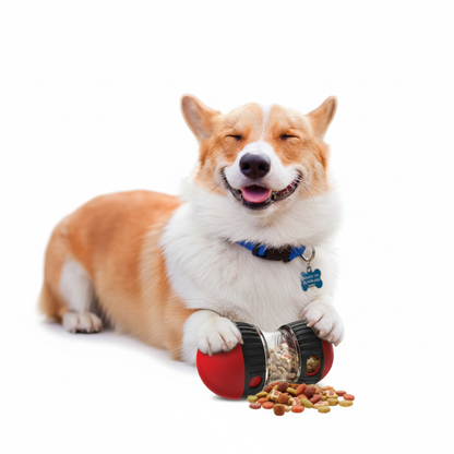 Dog with a red and black treat dispenser on a white background