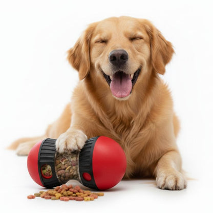 Dog with a red and black toy and scattered dog food on a white background