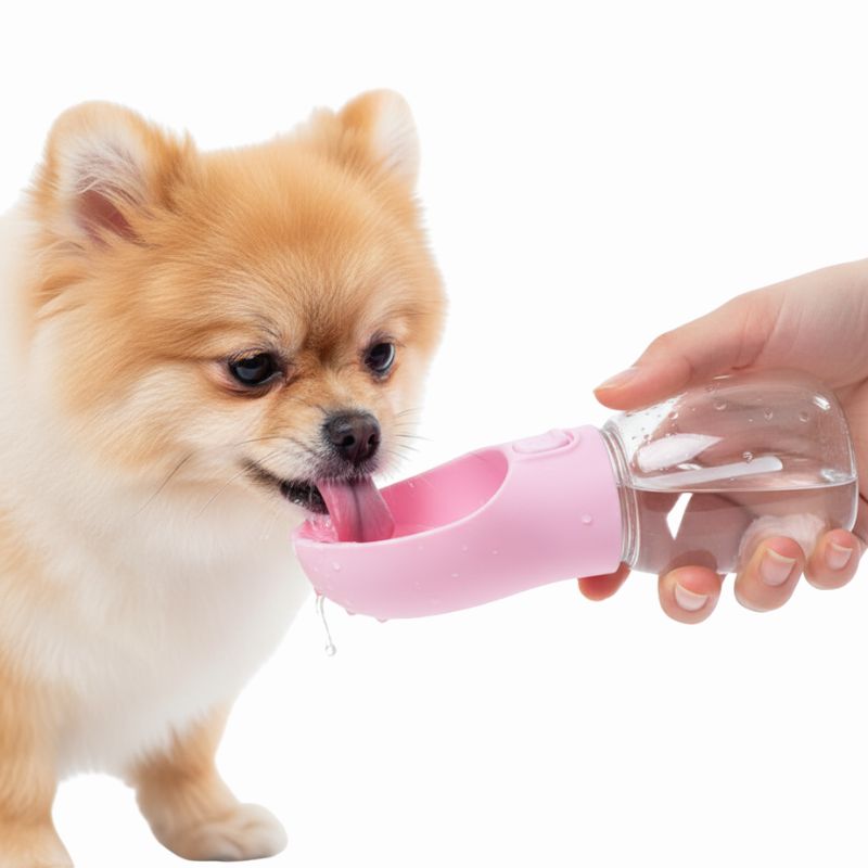Small dog drinking from a pink pet water bottle held by a hand on a white background