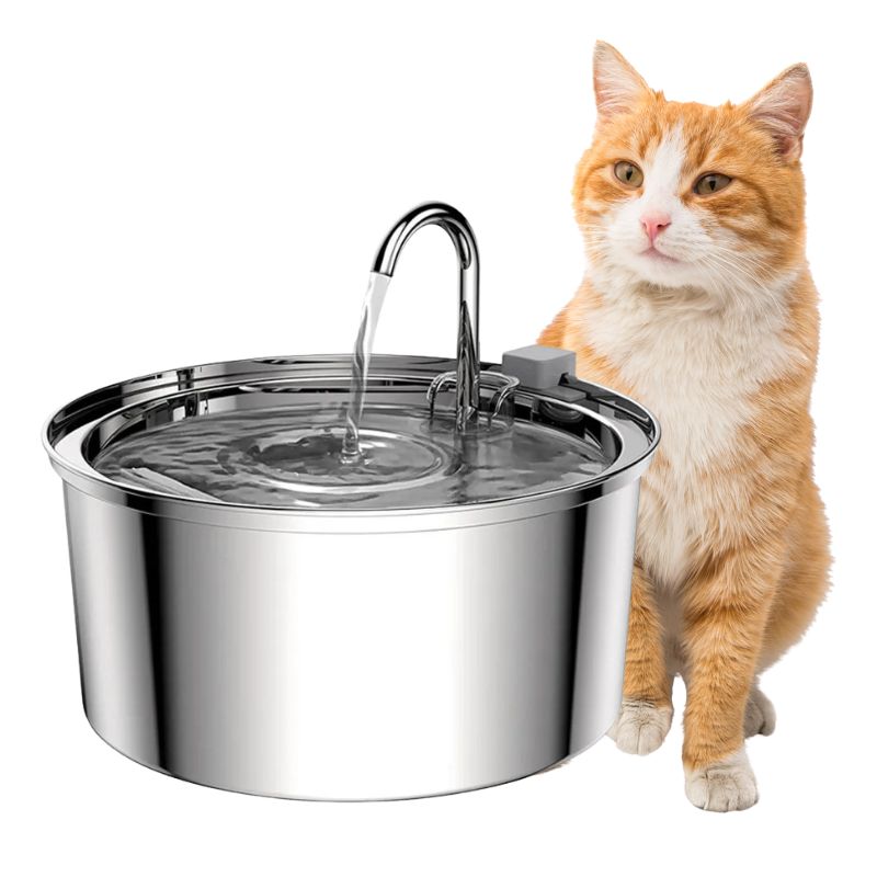 Cat standing next to a stainless steel pet water fountain on a white background