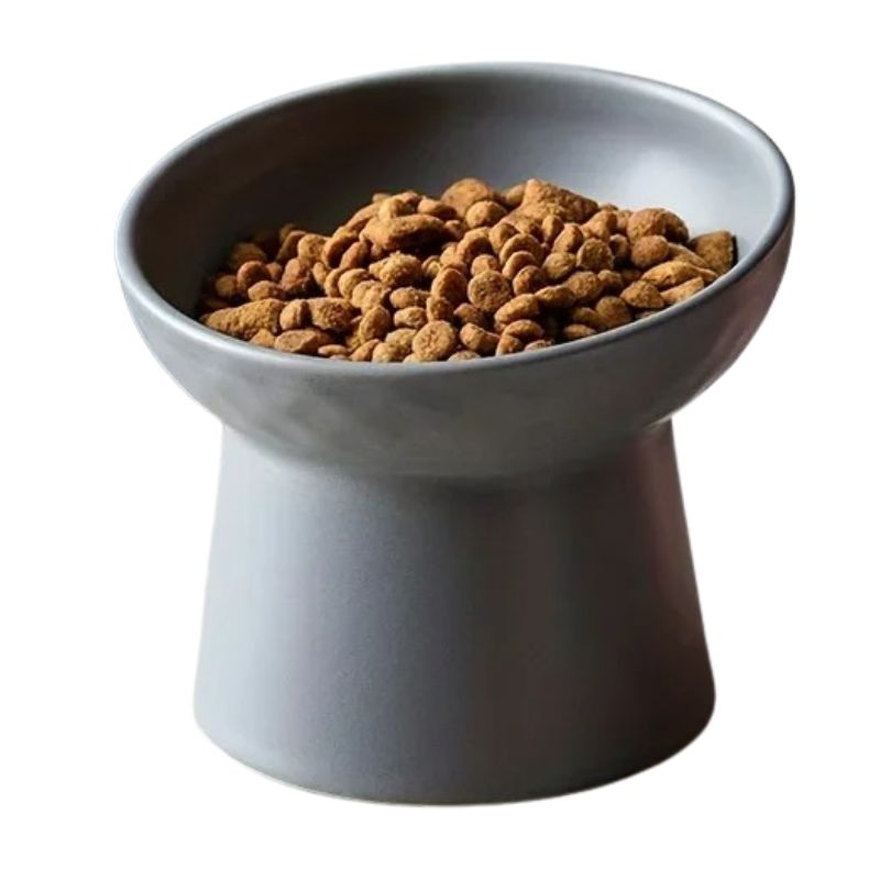Ceramic bowl with pet food on a white background