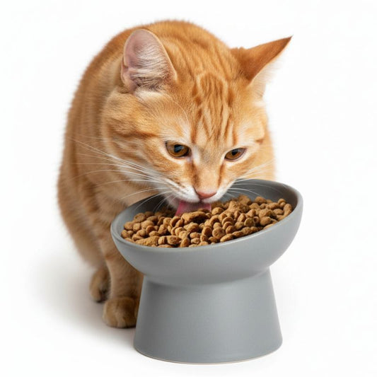 Orange cat eating from a gray elevated cat bowl on a white background