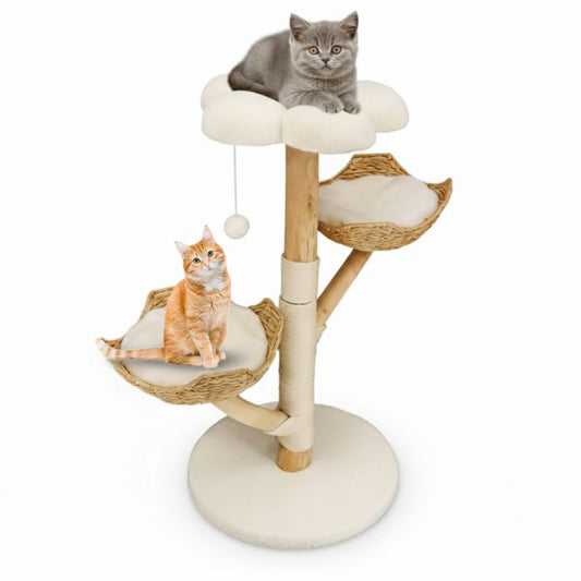 Cat tree with two cats on a white background