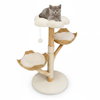 Cat sitting on a multi-level cat tree with platforms and a perch.
