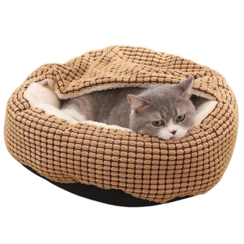 Cat lying in a beige pet bed on a white background