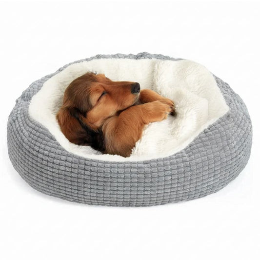 Dog resting on a gray and white pet bed against a white background