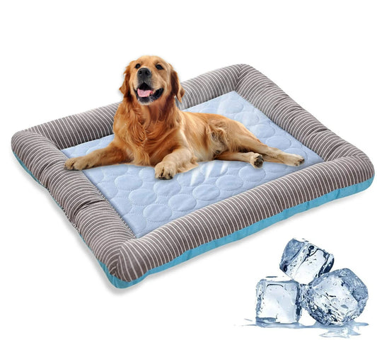 Dog lying on a cooling pad with ice cubes displayed.