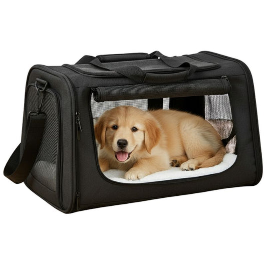 Black pet carrier with a golden puppy inside on a white background