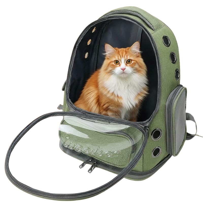 Cat inside a green pet backpack with 'Woof' branding on a white background