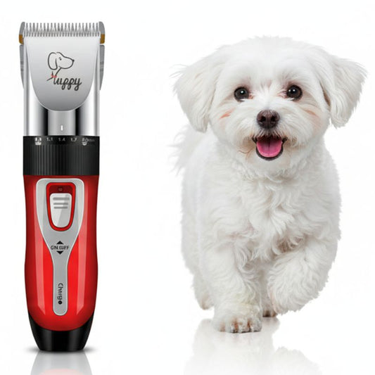 Dog grooming clipper next to a small white dog on a white background