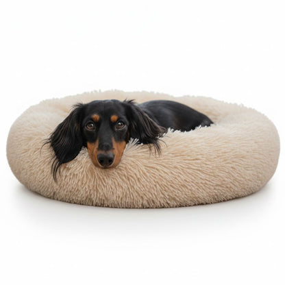 Dog lying on a fluffy beige pet bed against a white background