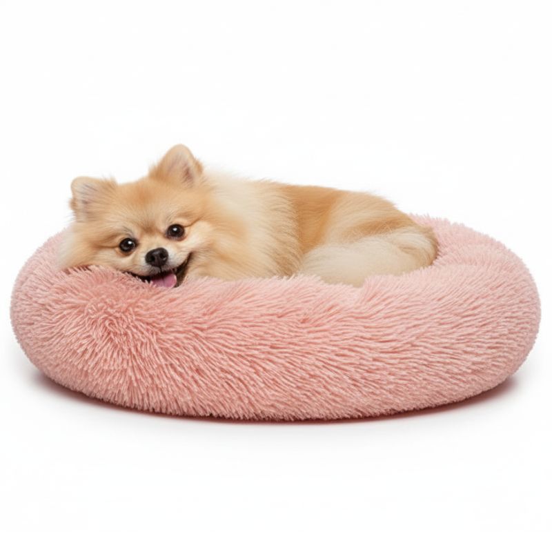 Small dog lying on a pink fluffy pet bed against a white background