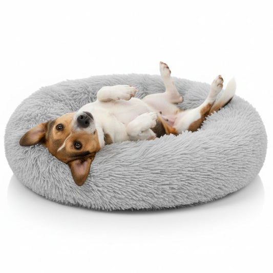 Dog lying on a gray fluffy donut bed against a white background