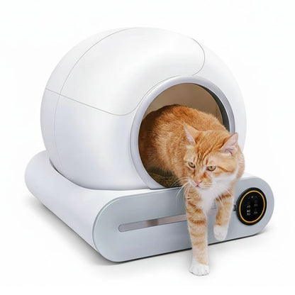 Cat using a modern white litter box with a transparent door.